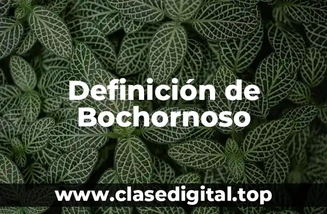 Definición de Bochornoso
