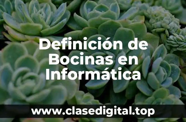 Definición de Bocinas en Informática