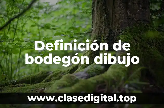 Definición de bodegón dibujo