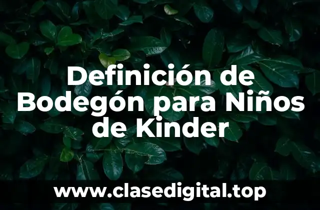 Definición técnica de Bodegón