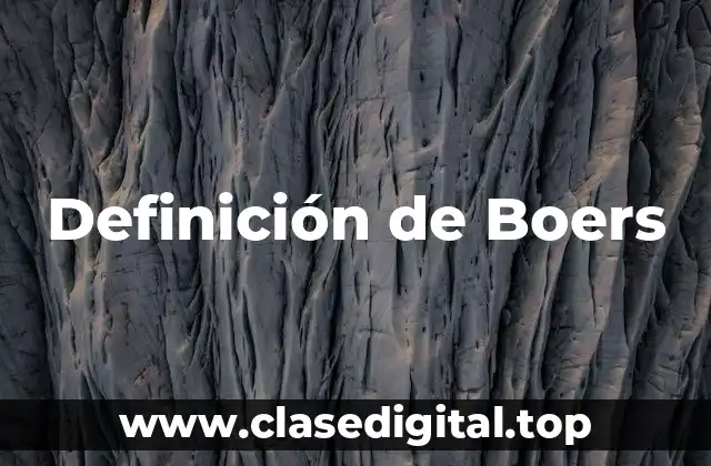 Definición de Boers