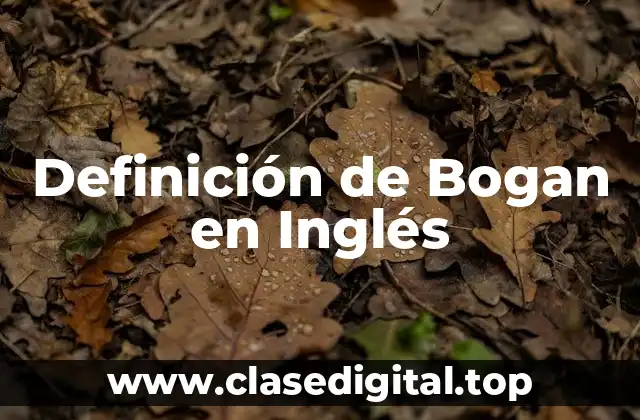 Definición de Bogan en Inglés