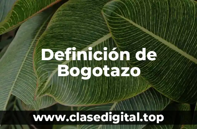 Definición de Bogotazo