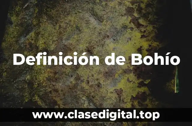 Definición de Bohío