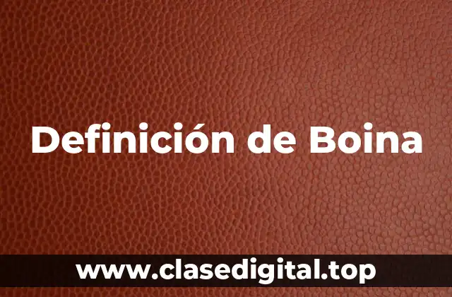 Definición de Boina