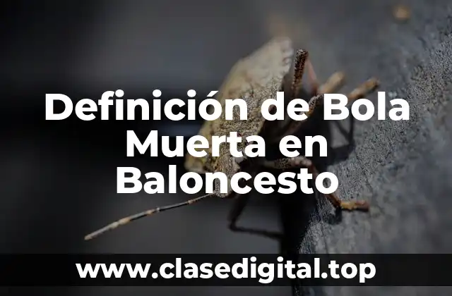 Definición de Bola Muerta en Baloncesto