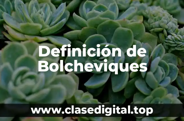Definición de Bolcheviques