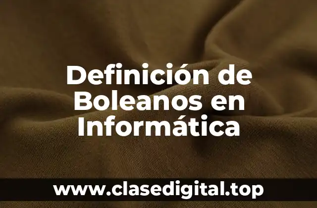 Definición de Boleanos en Informática