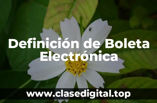 Definición de Boleta Electrónica
