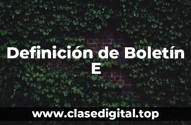 Definición de Boletín E