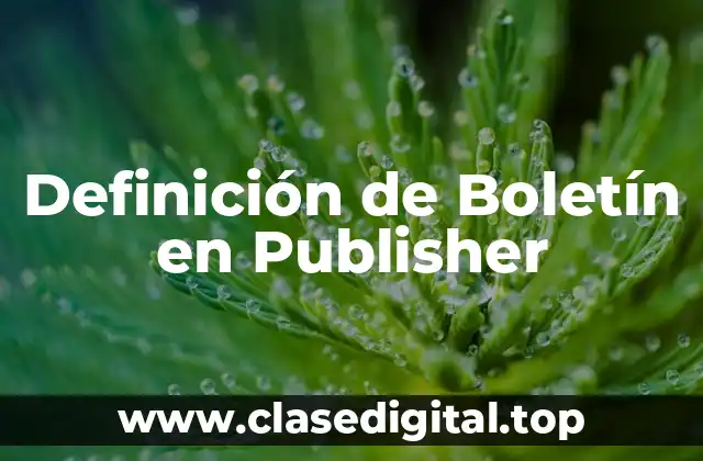 Definición de Boletín en Publisher