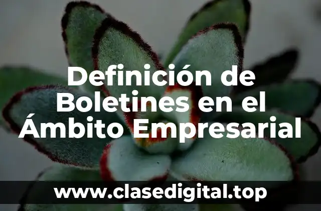 Definición de Boletines en el Ámbito Empresarial