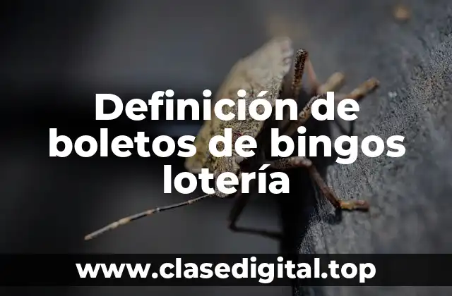 Definición de boletos de bingos lotería
