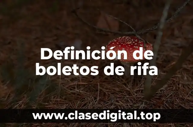 Ejemplos de boletos de rifas