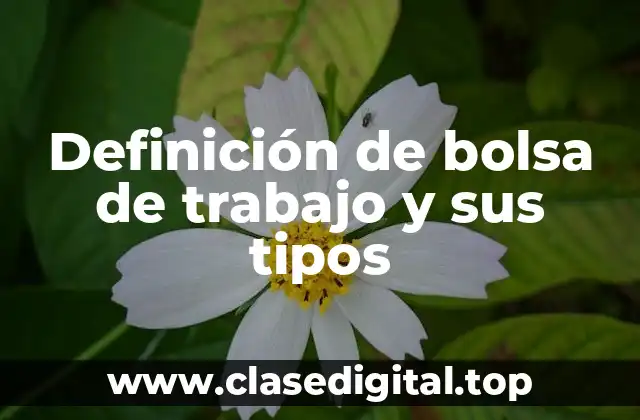 Definición de bolsa de trabajo y sus tipos