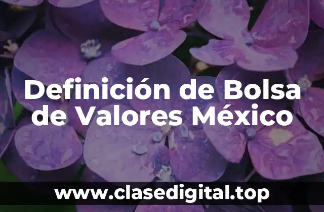 Definición de Bolsa de Valores México