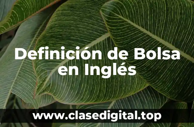 Definición de Bolsa en Inglés