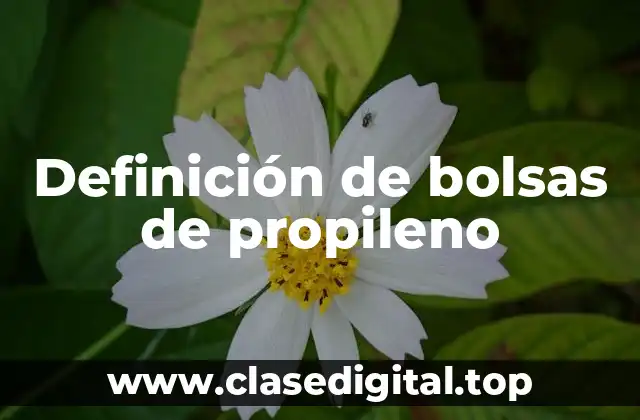 Definición de bolsas de propileno