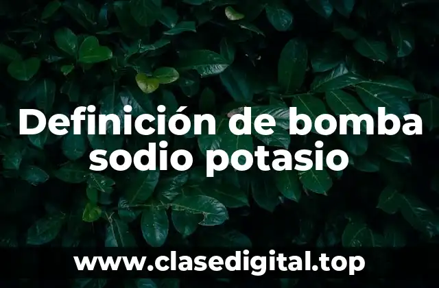 Definición de bomba sodio potasio