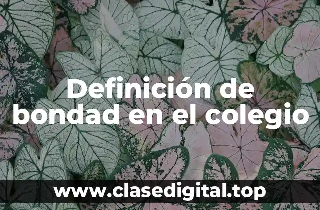 Definición de bondad en el colegio