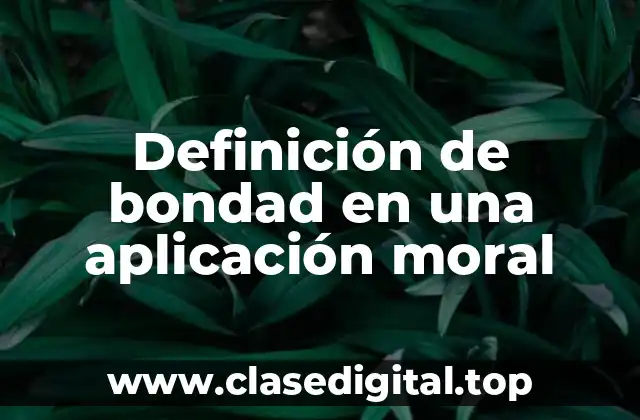 Definición de bondad en una aplicación moral