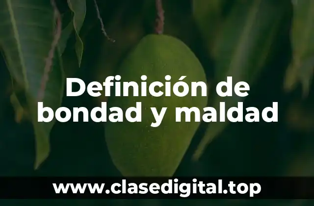 Definición de bondad y maldad