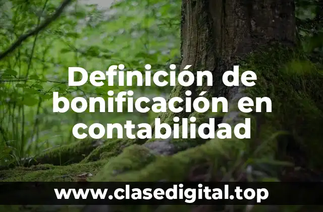 Definición de bonificación en contabilidad