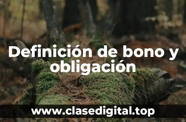 Definición de bono y obligación