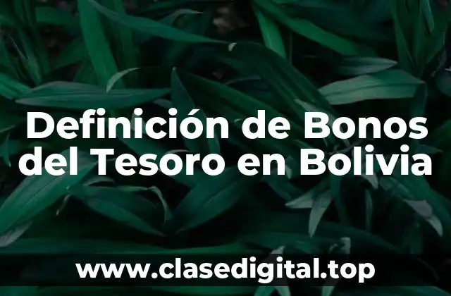 Definición de Bonos del Tesoro en Bolivia