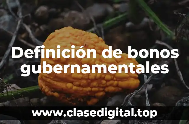 Definición de bonos gubernamentales