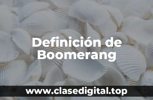 Definición de Boomerang