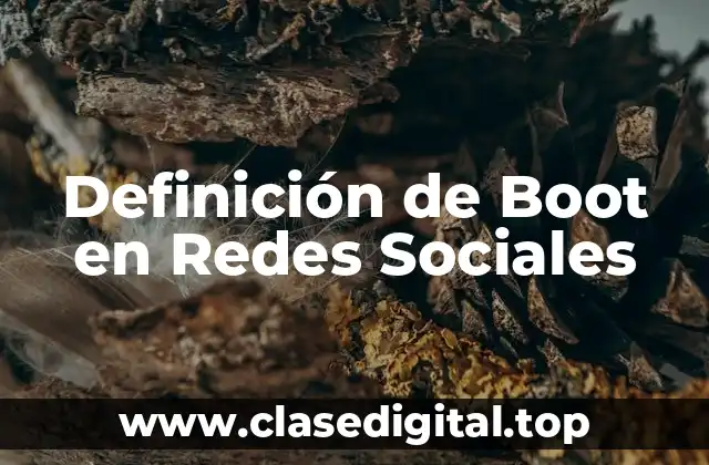 Definición de Boot en Redes Sociales