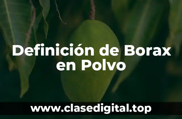Definición de Borax en Polvo