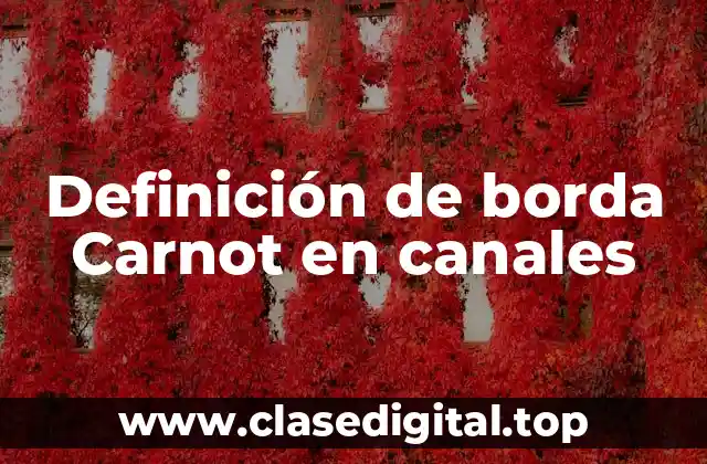 Definición de borda Carnot en canales