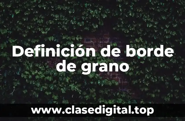 Definición de borde de grano