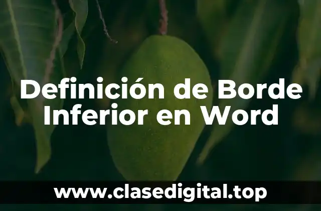 Definición de Borde Inferior en Word
