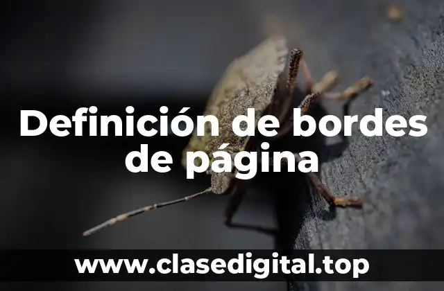 Definición de bordes de página