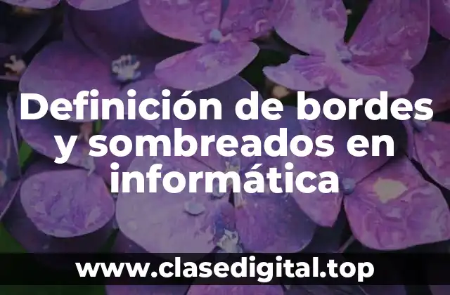 Definición de bordes y sombreados en informática