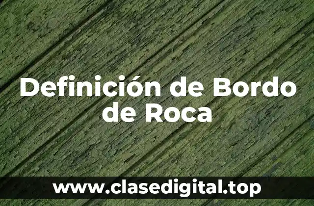 Definición de Bordo de Roca