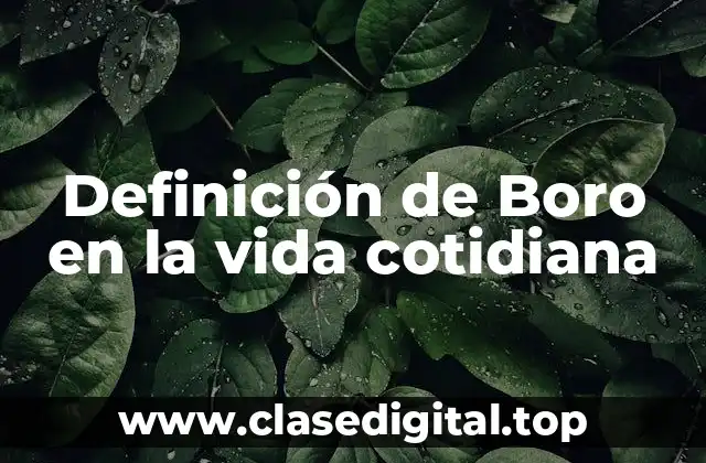 Definición de Boro en la vida cotidiana