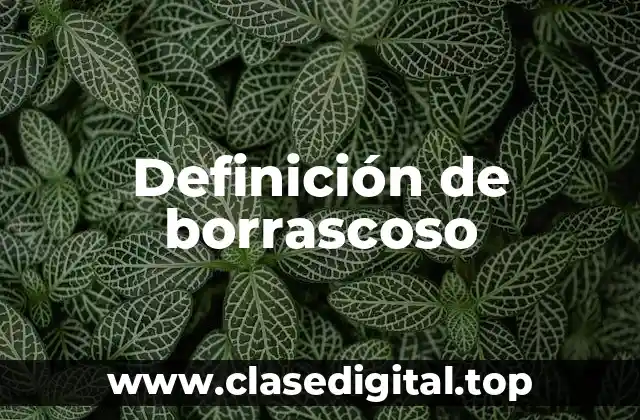 Definición de borrascoso