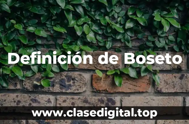 Definición de Boseto