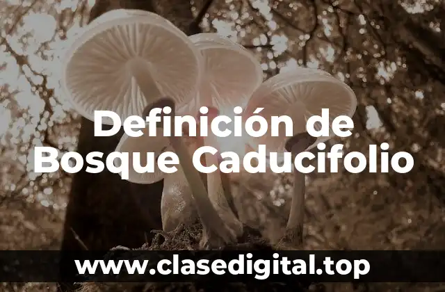 Definición de Bosque Caducifolio