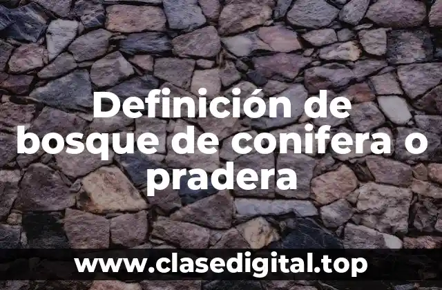 Definición de bosque de conifera o pradera