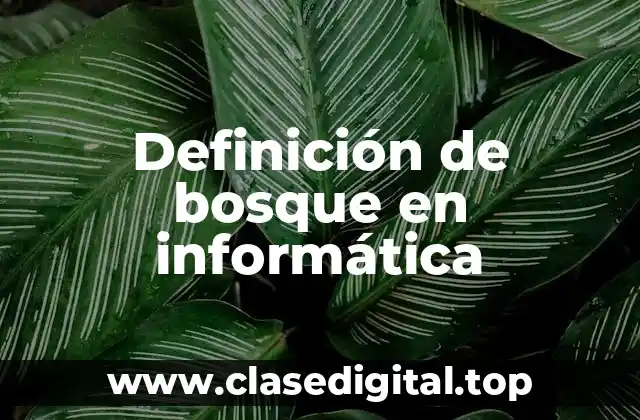 Definición de bosque en informática