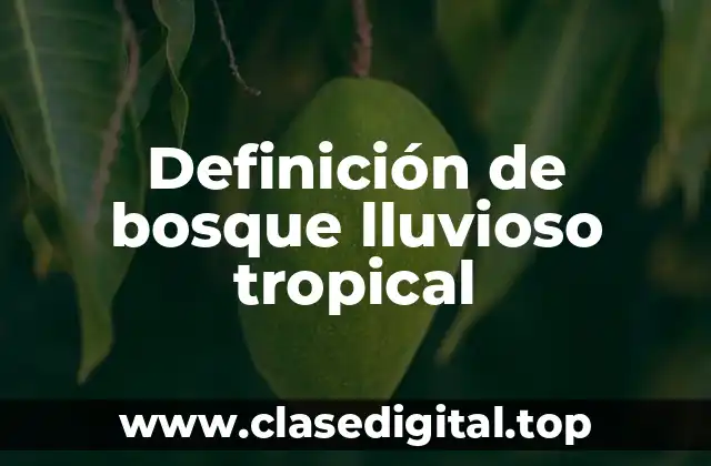Definición de bosque lluvioso tropical