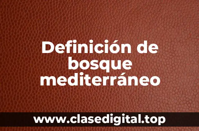 Definición de bosque mediterráneo