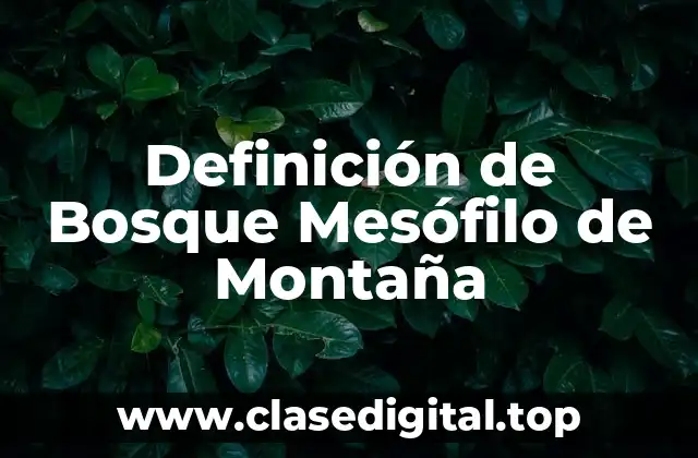 Definición de Bosque Mesófilo de Montaña