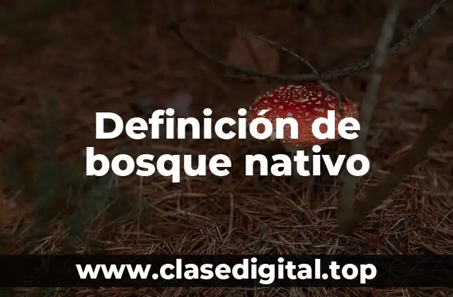 Definición de bosque nativo