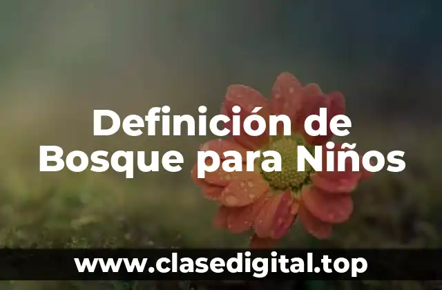 Definición de Bosque para Niños